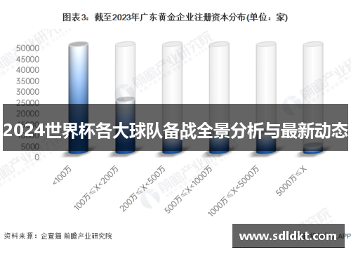 2024世界杯各大球队备战全景分析与最新动态